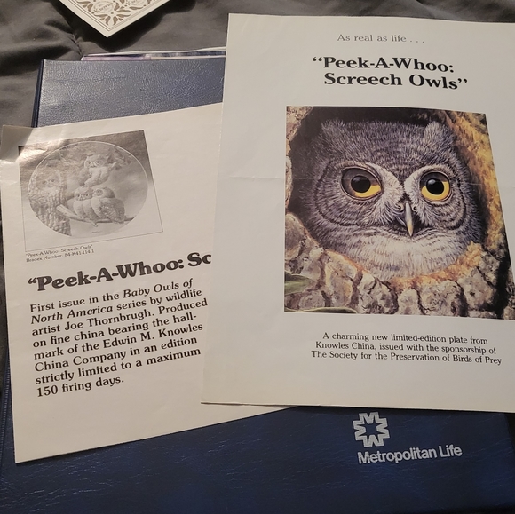 "PEEK-A-WHOO" screech owls collectors dish - Picture 4 of 4